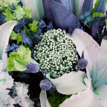 Floral closeup with color alteration in to the blue and purple spectrum. Lilies, delphinium, carnations, rice flower, and greens.