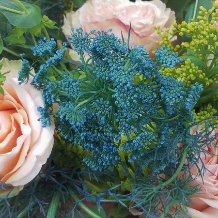 Close-up shot of Queen Anne's Lace flower dyed blue, surrounded by pink roses, goldenrod, and other filler greens.